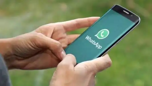 WhatsApp_WhatsApp用户信息泄露_Meta信息泄露事件