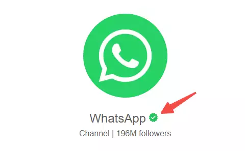 WhatsApp官方认证成功率提升_WhatsApp_品牌曝光度与WhatsApp认证