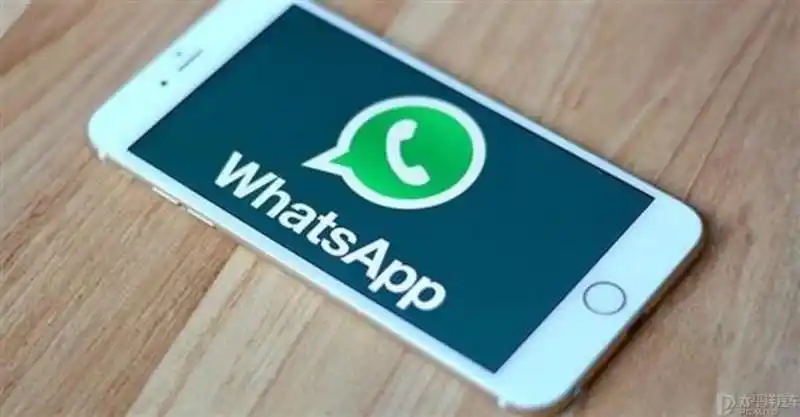 WhatsApp_滴滴出行 WhatsApp 巴西市场_滴滴出行巴西打车软件99 WhatsApp合作