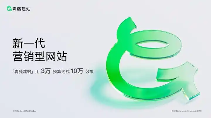 国内十大网站建设服务商排名_表单制作软件有哪些_企业官网建设服务商