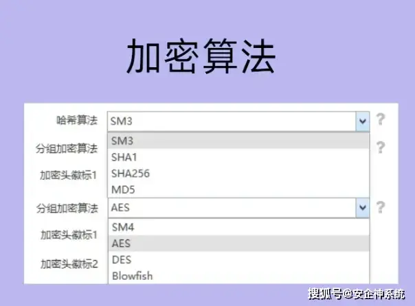 需要点击信任才能用的软件_透明加密技术_文档加密软件