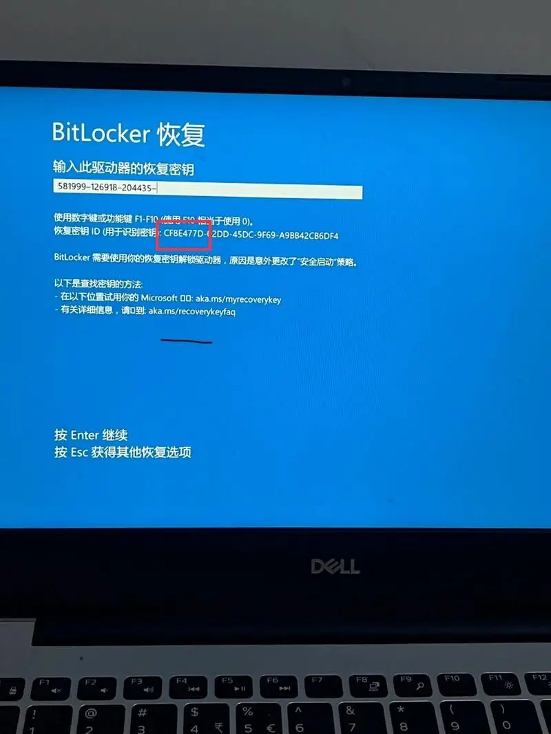 需要点击信任才能用的软件_2025年最佳文件加密工具_文件加密软件推荐