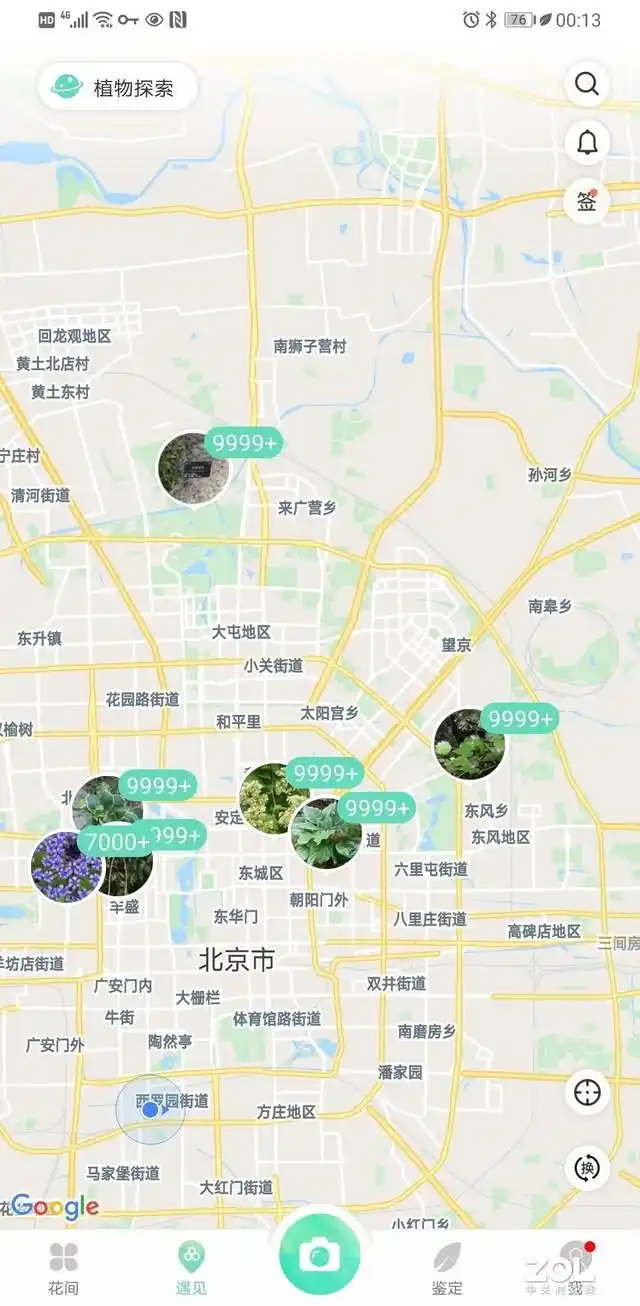 花伴侣植物百科_什么软件可以知道植物名称_形色植物识别