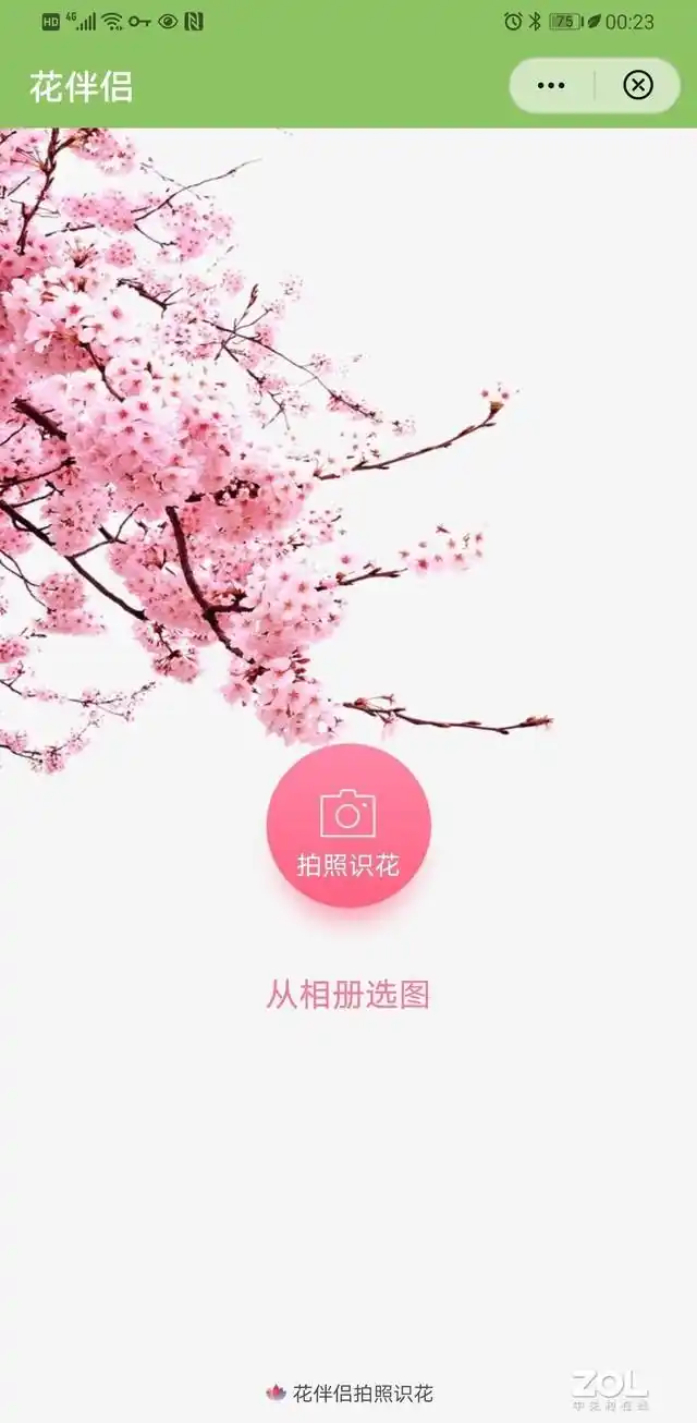 什么软件可以知道植物名称_形色植物识别_花伴侣植物百科