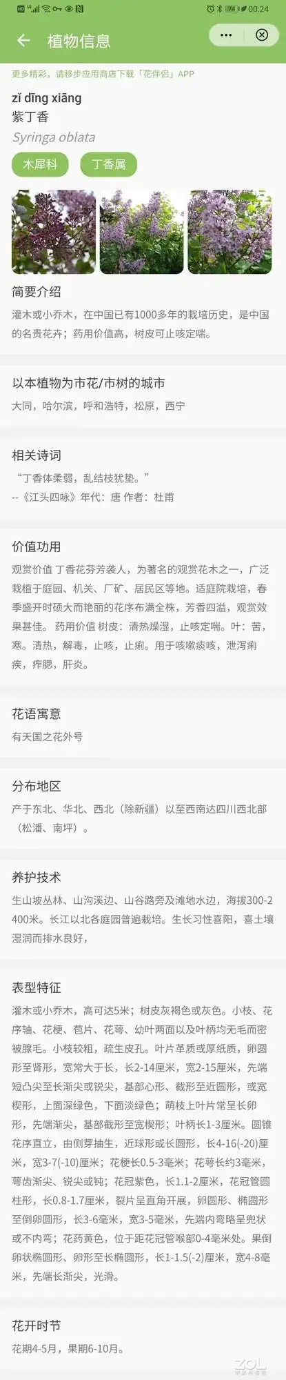 花伴侣植物百科_什么软件可以知道植物名称_形色植物识别