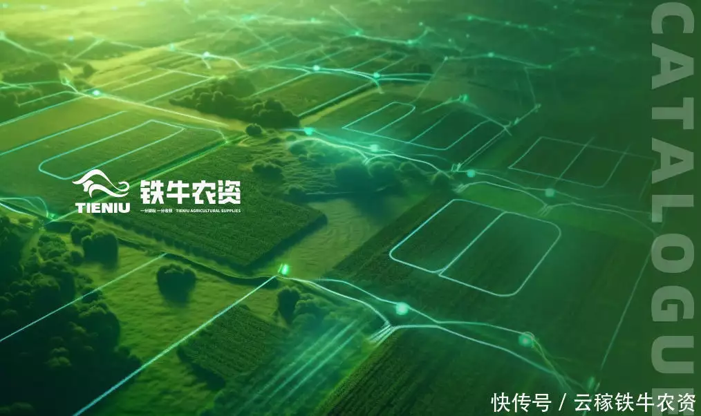 农资电商平台服务模式_网络营销模式发展趋势_农资电商平台线上购买