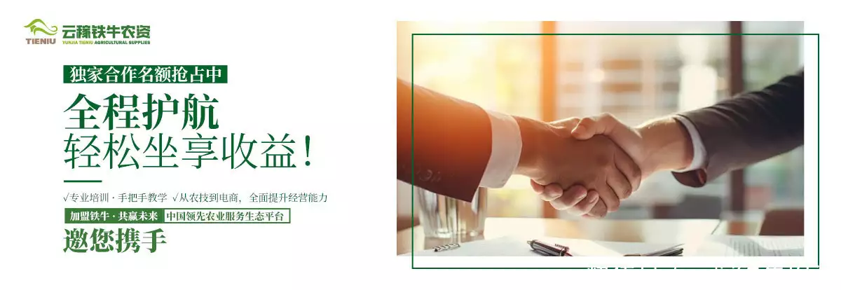 农资电商平台线上购买_网络营销模式发展趋势_农资电商平台服务模式