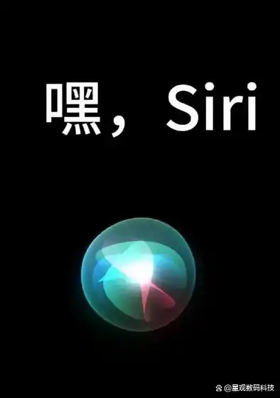 Siri不响解决方法_Siri无法响应原因排查_苹果手机voiceover