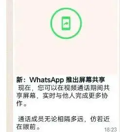 whatsapp多人视频通话功能_whatsapp分身使用教程_WhatsApp