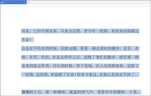 迅捷pdf转换成word转换器 注册码_PDF转换成Word_迅捷PDF转换器