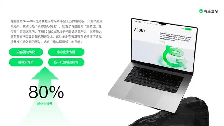 如何选择电商网站服务器_2025年值得关注的网站开发公司_网站建设公司排名