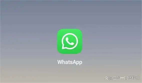 WhatsApp安全加密_WhatsApp使用方法_WhatsApp