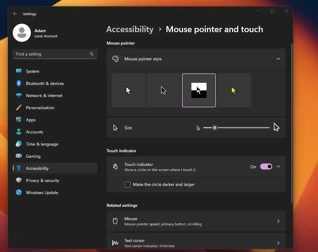 光标跟随_调整鼠标指针尺寸 Win10 Win11_找不到光标 Win10 Win11