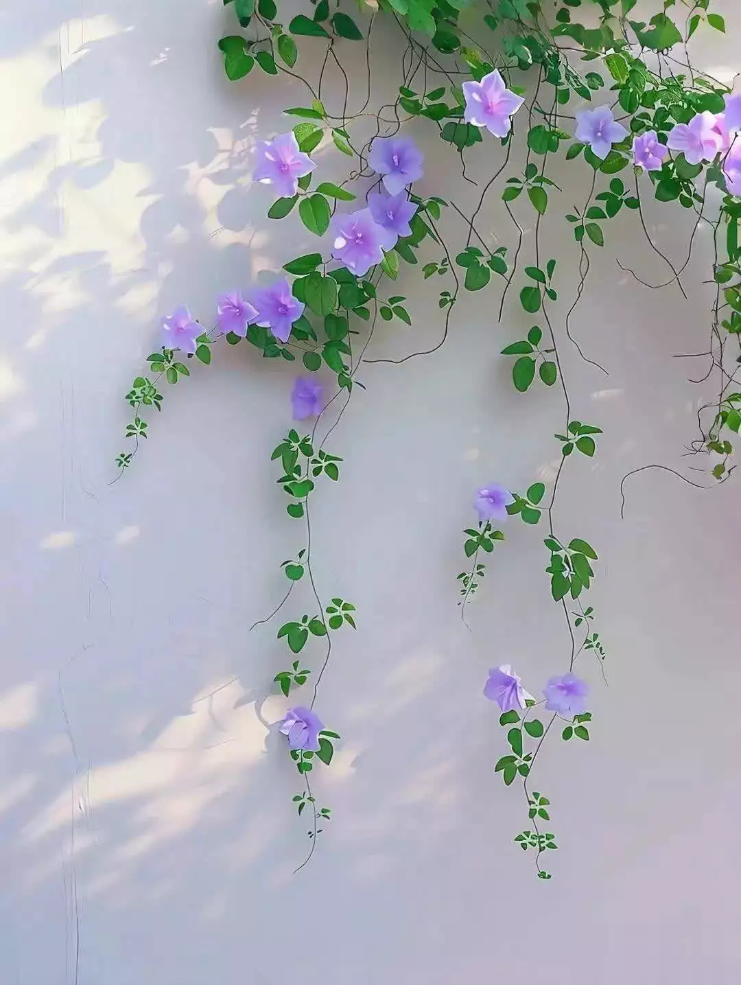 恋爱中迷茫_学会爱与被爱治愈人生_谈恋爱图片大全